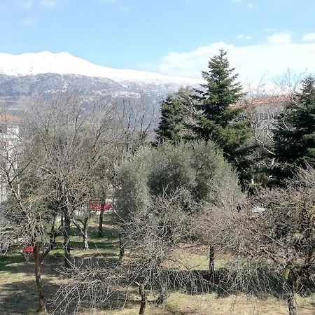 约阿尼纳Gks Park View公寓 外观 照片
